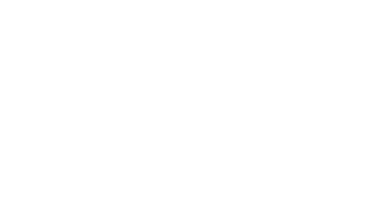 Ancora Seguros